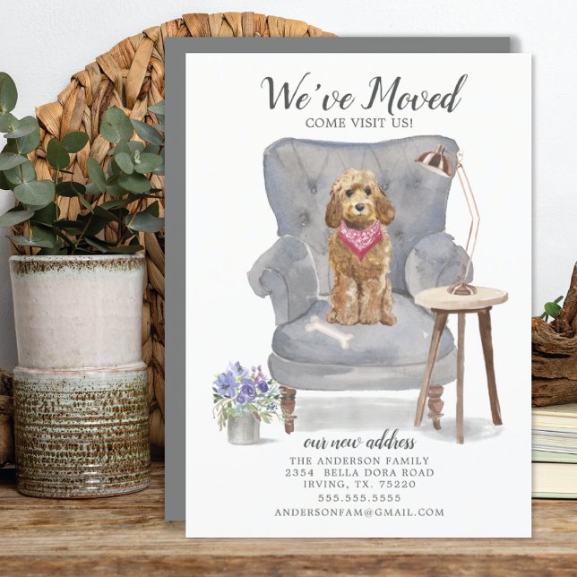 Flytta Announcement för Golden Honung Cockapoo Meddelande (Skapare uppladdad)