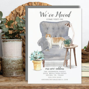 Flytta Announcement för Scottish Fold Cat Meddelande