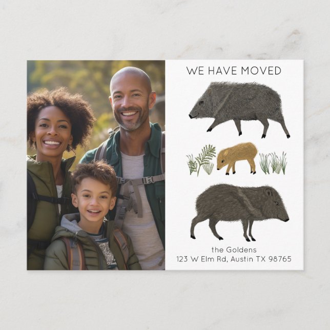 FLYTTA ANNOUNCEMENT Javelina Family Desert ANPASSN Vykort (Framsida)