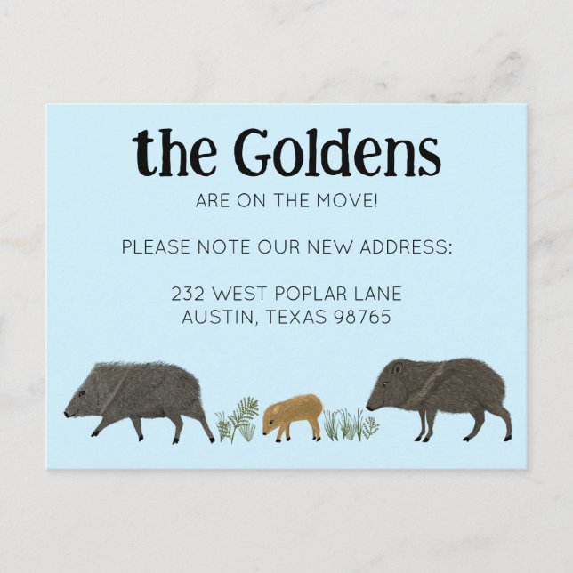 FLYTTA ANNOUNCEMENT Javelina Family Southwest Vykort (Framsida)