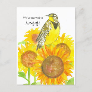 Flytta Announcement Kansas Meadowlark Solblommor Vykort