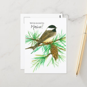 Flytta Announcement Maine Chickadee Pinecone Träd Vykort