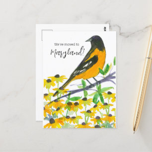 Flytta Announcement Maryland Baltimore Oriole Vykort