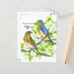 Flytta Announcement Missouri Bluebirds Hawthorn Vykort