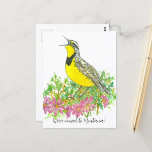 Flytta Announcement Montana Meadowlark Bitterroot Vykort