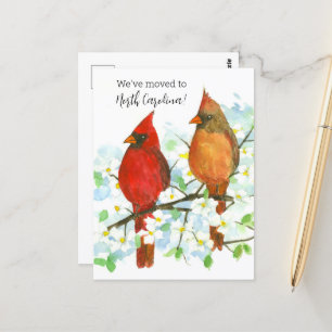 Flytta Announcement North Carolina Cardinals Vykort
