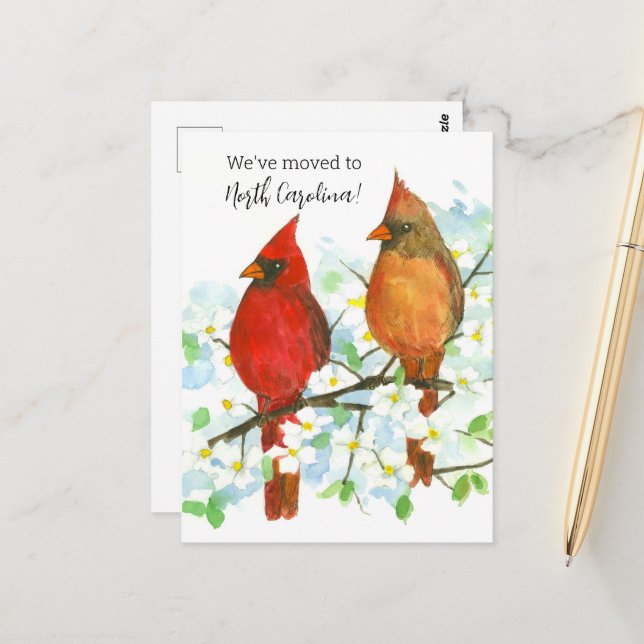Flytta Announcement North Carolina Cardinals Vykort (Fram/Back In Situ)