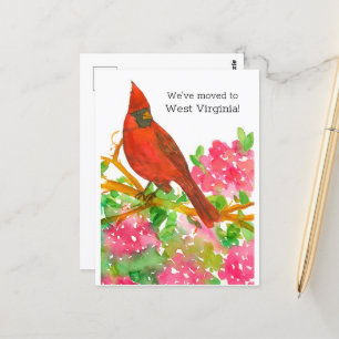 Flytta Announcement Väster Virginia Cardinal Flowe Vykort