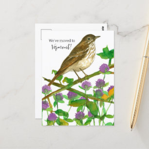 Flytta Announcement Vermont Hermit Thrusch Klöver Vykort