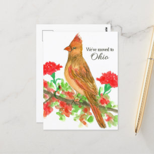 Flytta Announo Ohio Cardinal Red Carnations Vykort