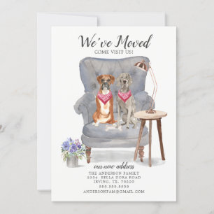 Flytta av Boxer och Weimaraner Hund Announcement Meddelande