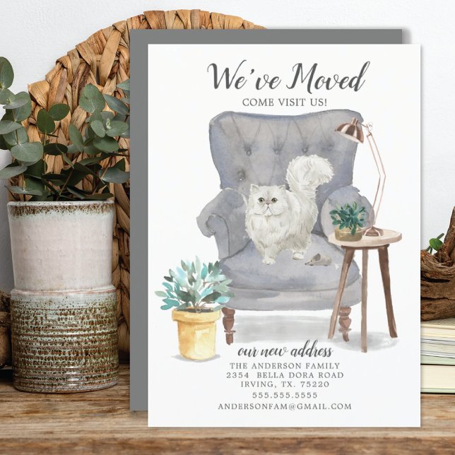 Flytta av persisk katt meddelande (Skapare uppladdad)