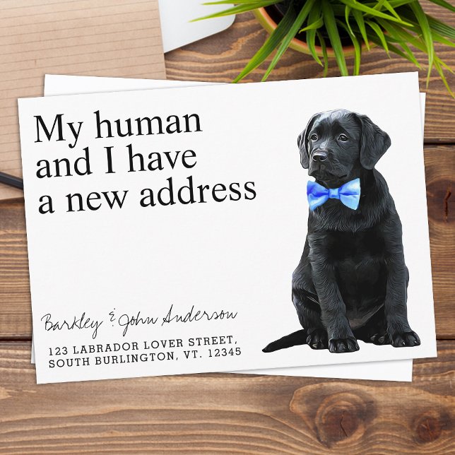 Flytta av svart lab Hund Meddelande (Skapare uppladdad)