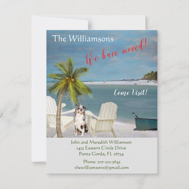 Flytta budget för vi har flyttat Hund Ocean Beach Meddelande (Framsida)