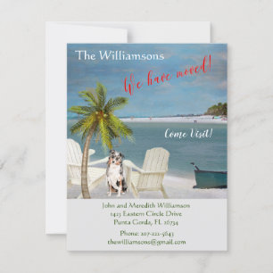 Flytta budget för vi har flyttat Hund Ocean Beach Meddelande