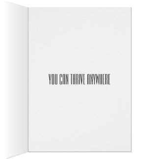 Flytta, byte av jobb, byte av karriär, skilsmässa hälsningskort