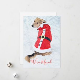 Flytta Cute-julen Hund i Snö Red Santa Kostym Julkort
