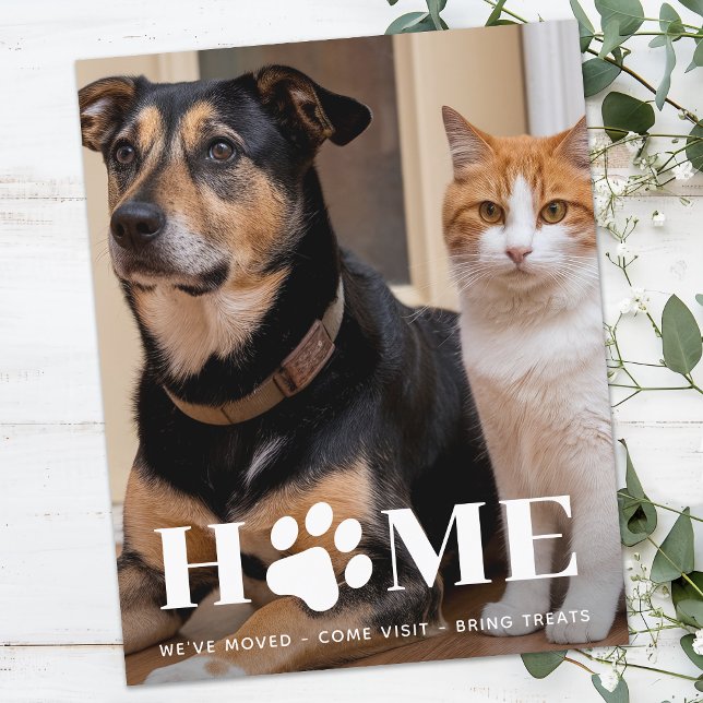 Flytta för Flyttat Hund för Pet-fotofotoljevägg fö (Skapare uppladdad)