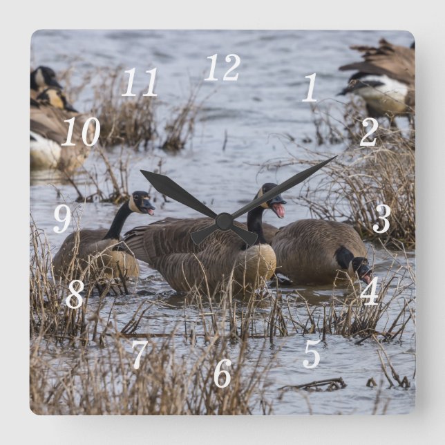 Flytta i väggklocka (Framsida)