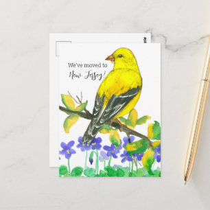 Flytta Meddelande om New jersey Goldfinch Violes Vykort