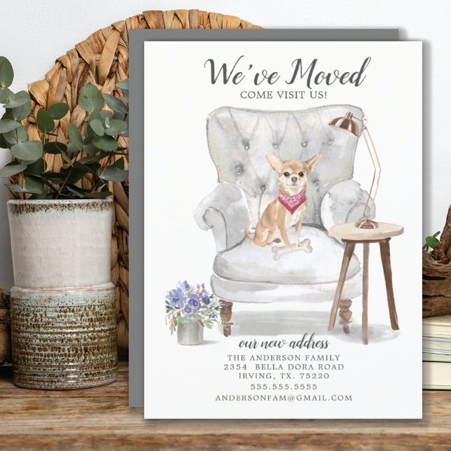 Flytta om Chihuahua Hund Vi har flyttat Meddelande (Skapare uppladdad)