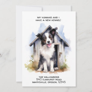 Flytta om för Funny Gräns Collie Hund Meddelande