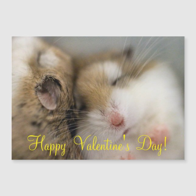 Flytta över Bob (Framsida)