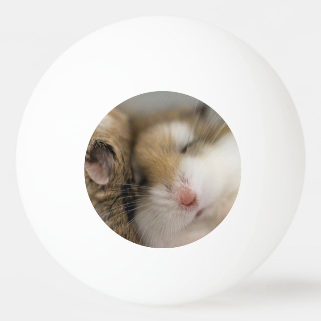 Flytta över Bob Pingisboll (Framsidan)