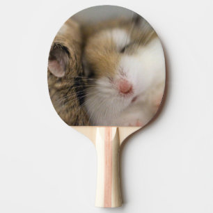 Flytta över Bob Pingisracket