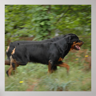 Flytta på er på varvet poster