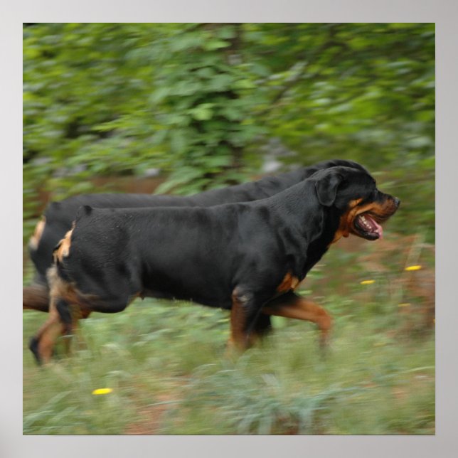 Flytta på er på varvet poster (Framsidan)