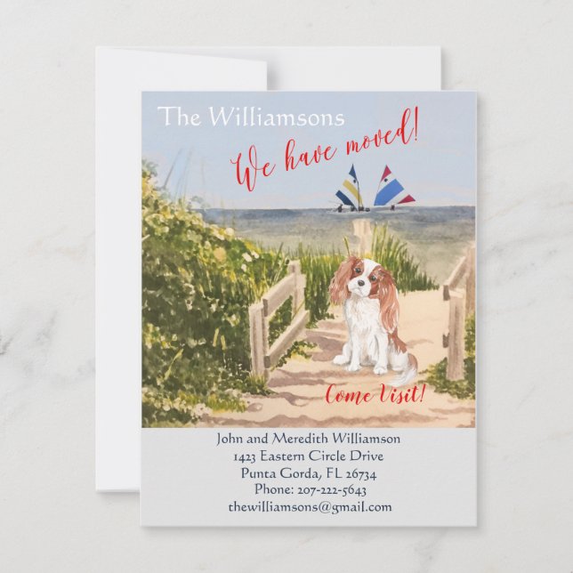 Flytta vi har flyttat till Hund strutssegment Meddelande (Framsida)