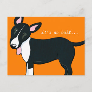 Flyttad Bull Terrier Hund Ny Adress Meddelande Vykort