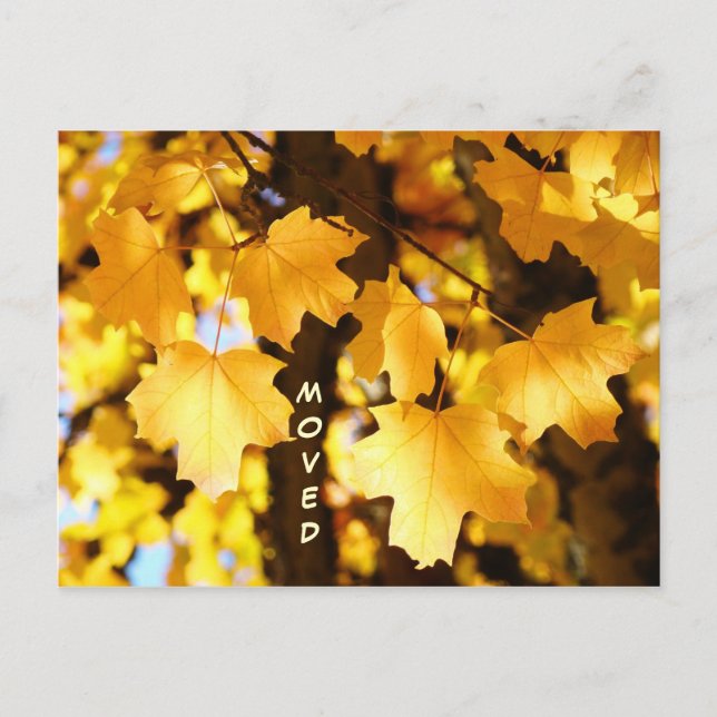 Flyttade vykort anpassat Flytt ny adress Höst (Framsida)