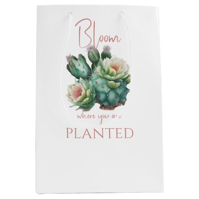 Flyttande kaktus blommar där du är planterad (Framsidan)