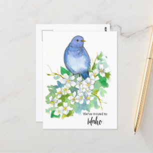 Flyttannons Idaho Mountain Bluebird Blomma Vykort
