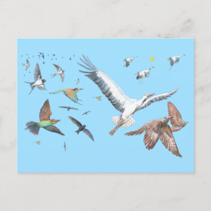 Flyttfåglar som spårar sina flygningar Illustratio Helg Vykort