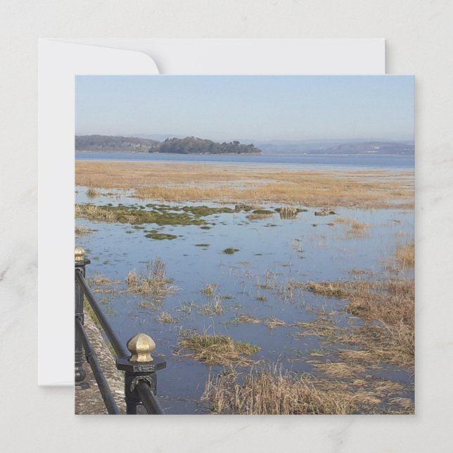 Flyttkort för Morecambe Bay med hög tidsinställnin (Framsida)