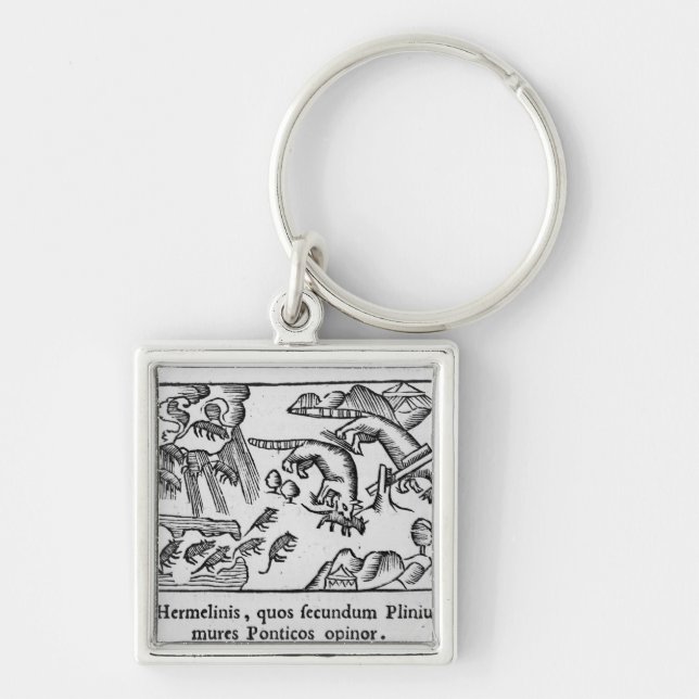 Flyttning av lemmings fyrkantig silverfärgad nyckelring (Framsidan)