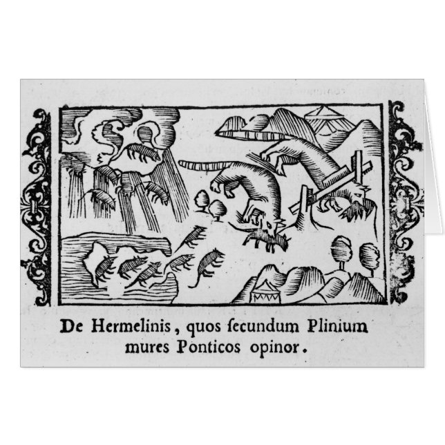 Flyttning av lemmings hälsningskort (Framsidan Horizontal)