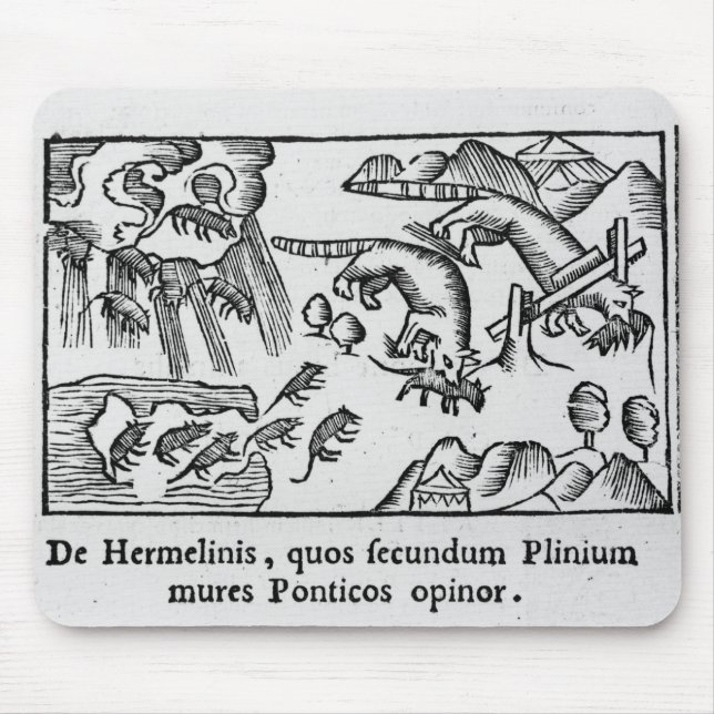 Flyttning av lemmings musmatta (Framsidan)