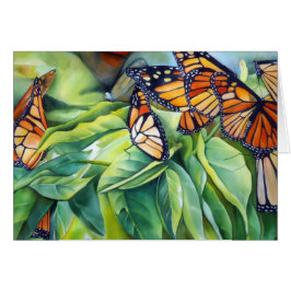 Flyttning av monarkmorgonen tänder OBS kort