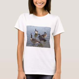 Fnissa gagglen av gäss tee shirt