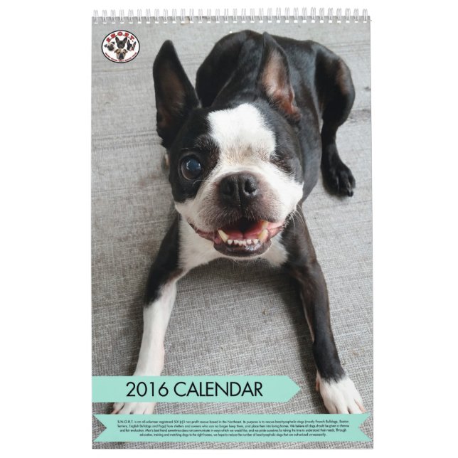 FNYSA kalender 2016 (Omslag)