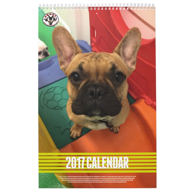 FNYSA kalender 2017 (Omslag)