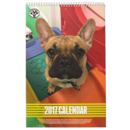 FNYSA kalender 2017