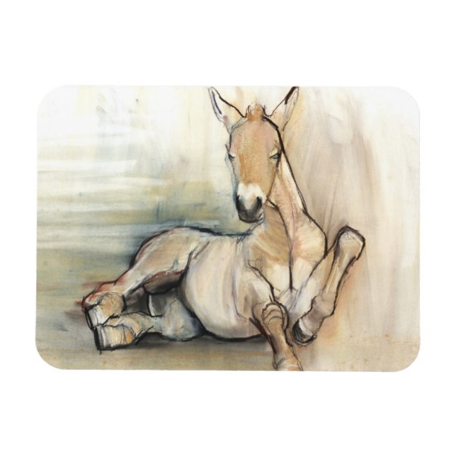 Foal 2012 magnet (Horisontell)