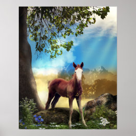 Foal Horse ENCHANTED FOREST Poster