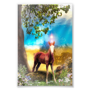 Foal Horse in Paradise Fototryck