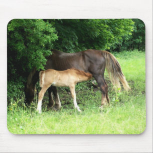 Foal Mousepad Musmatta